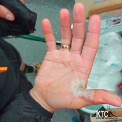 2022-05-07 Welschlauf - 20220507_154116